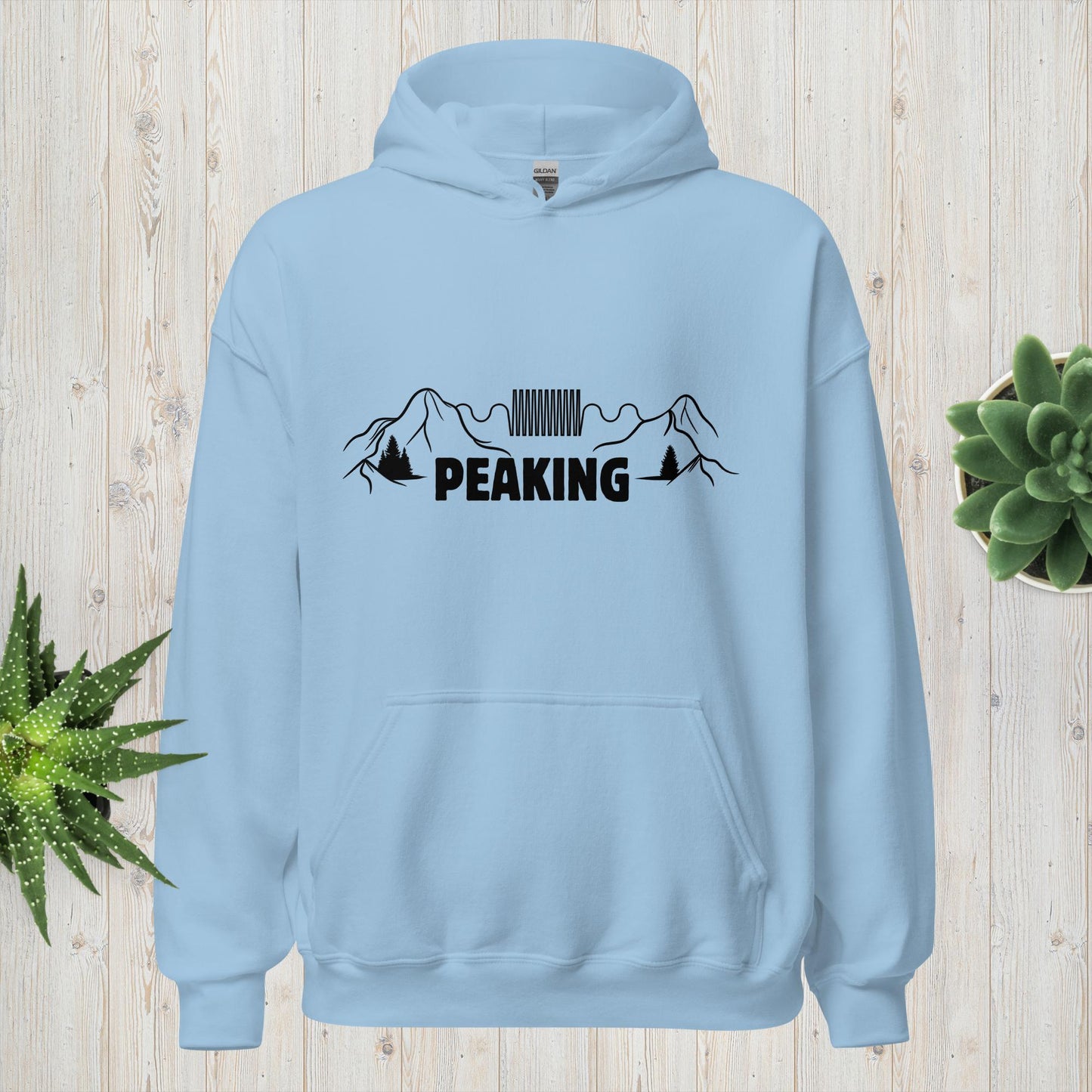 "Peaking" Pun Heavyweight Hoodie