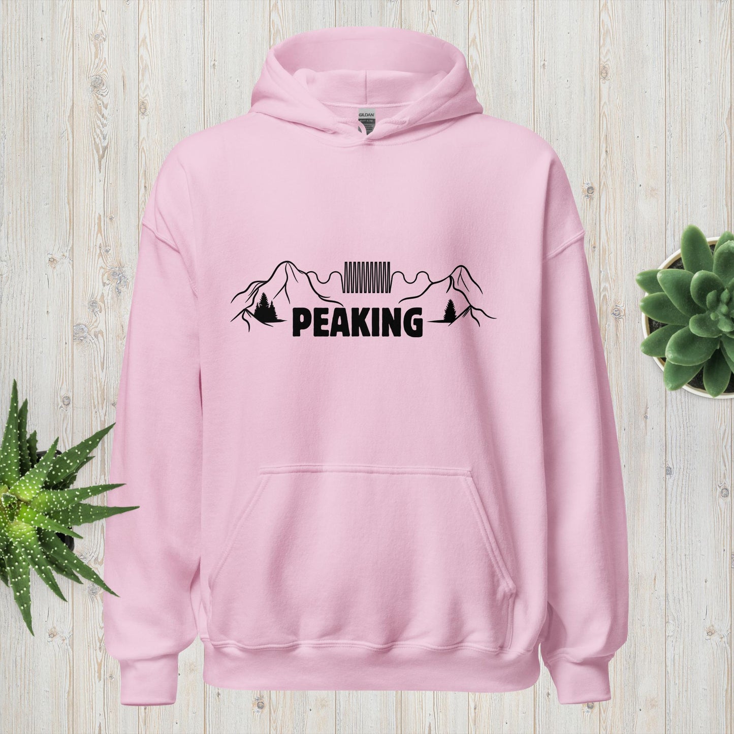 "Peaking" Pun Heavyweight Hoodie