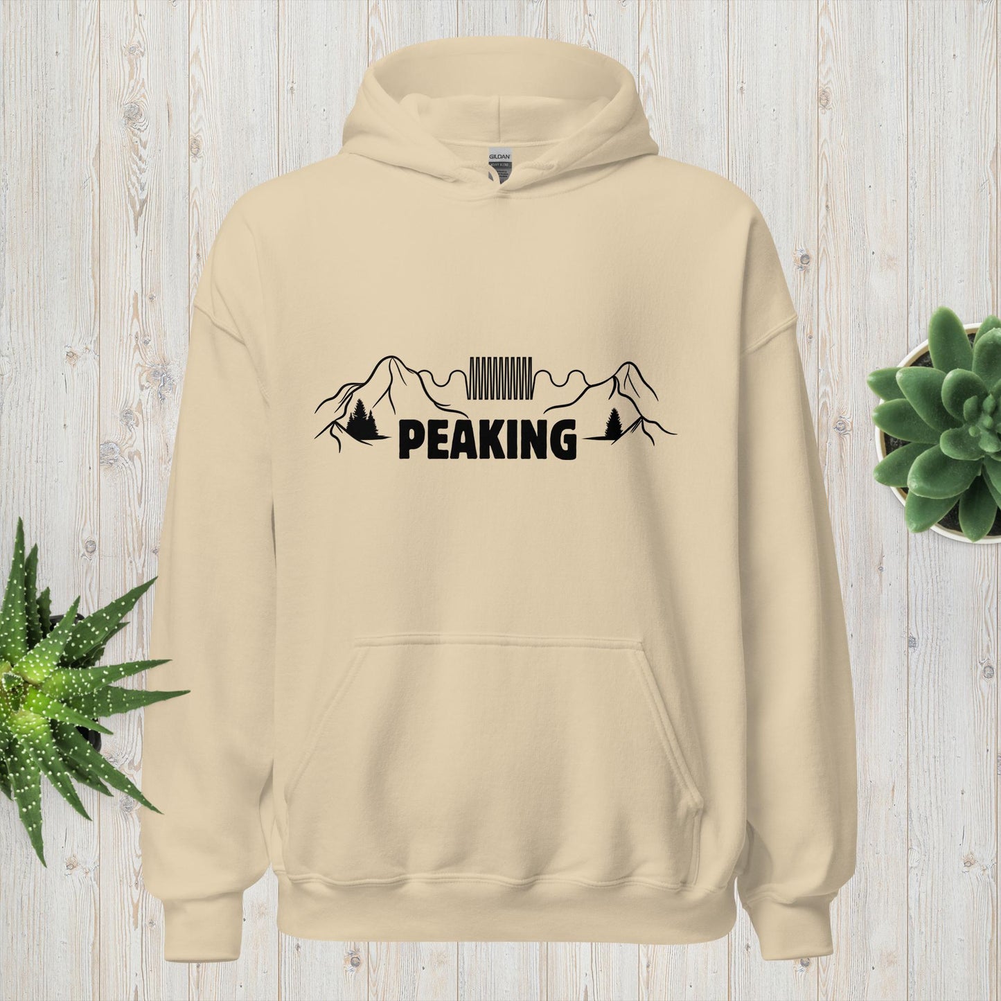 "Peaking" Pun Heavyweight Hoodie